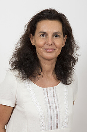 image du mentor