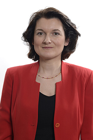 image du mentor